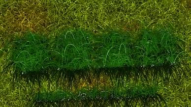 绿色春天草地生长变成LOGO演绎AE模板视频的预览图